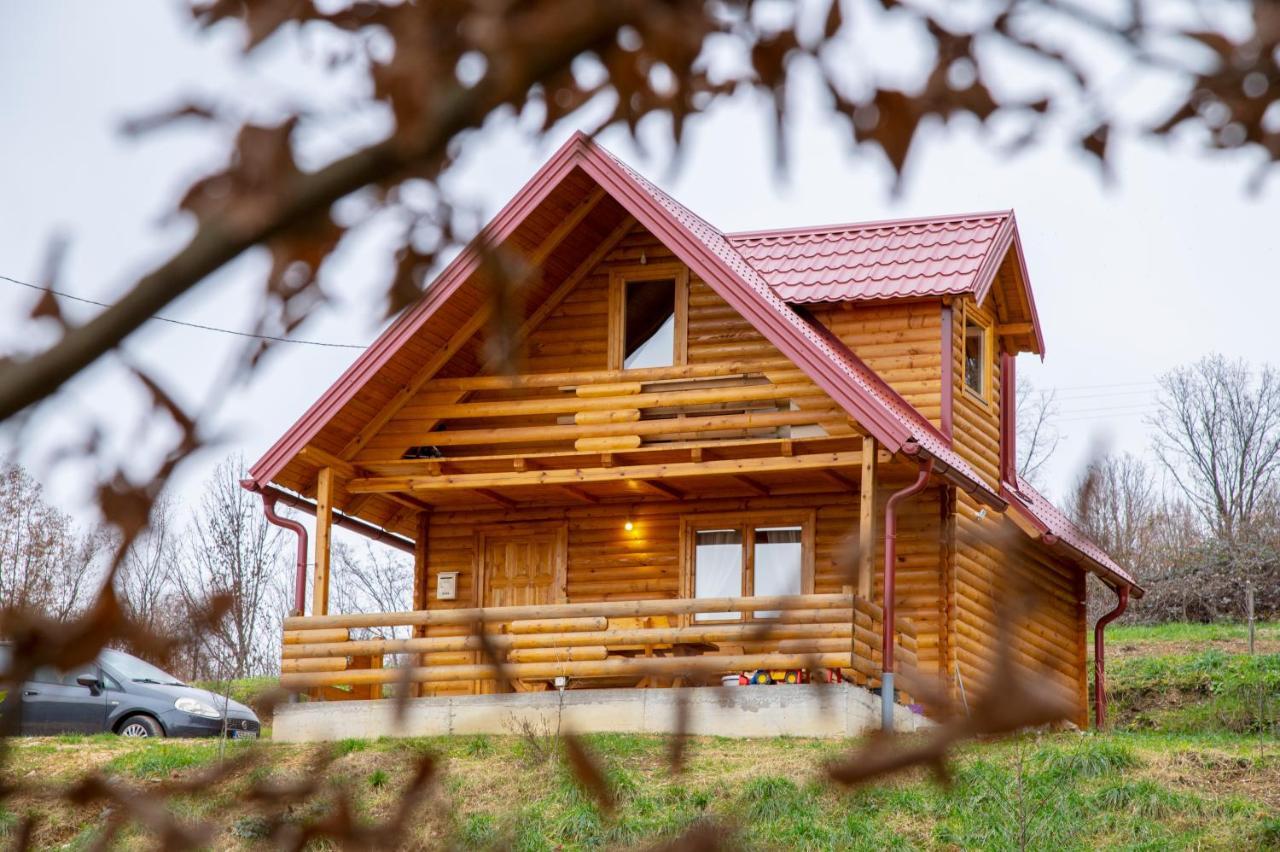 Villa Brvnaria à Slatina Varoš Extérieur photo