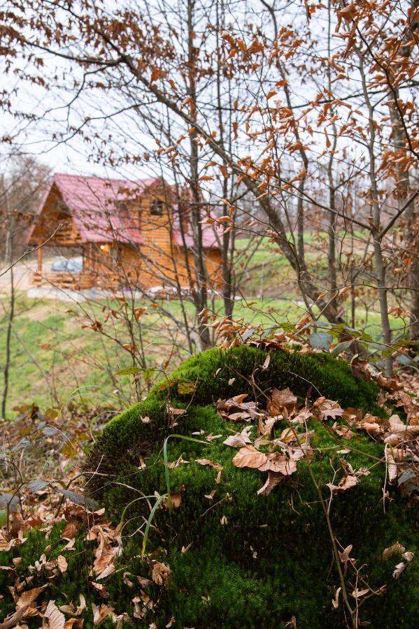 Villa Brvnaria à Slatina Varoš Extérieur photo